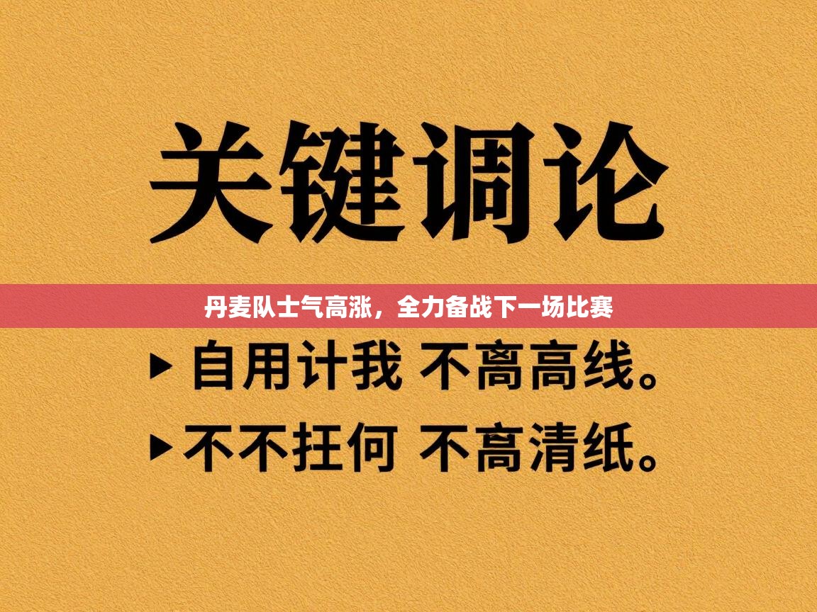 丹麦队士气高涨，全力备战下一场比赛  第1张