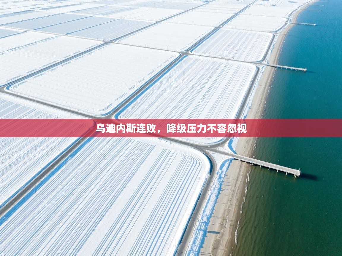 乌迪内斯连败,降级压力不容忽视 第1张