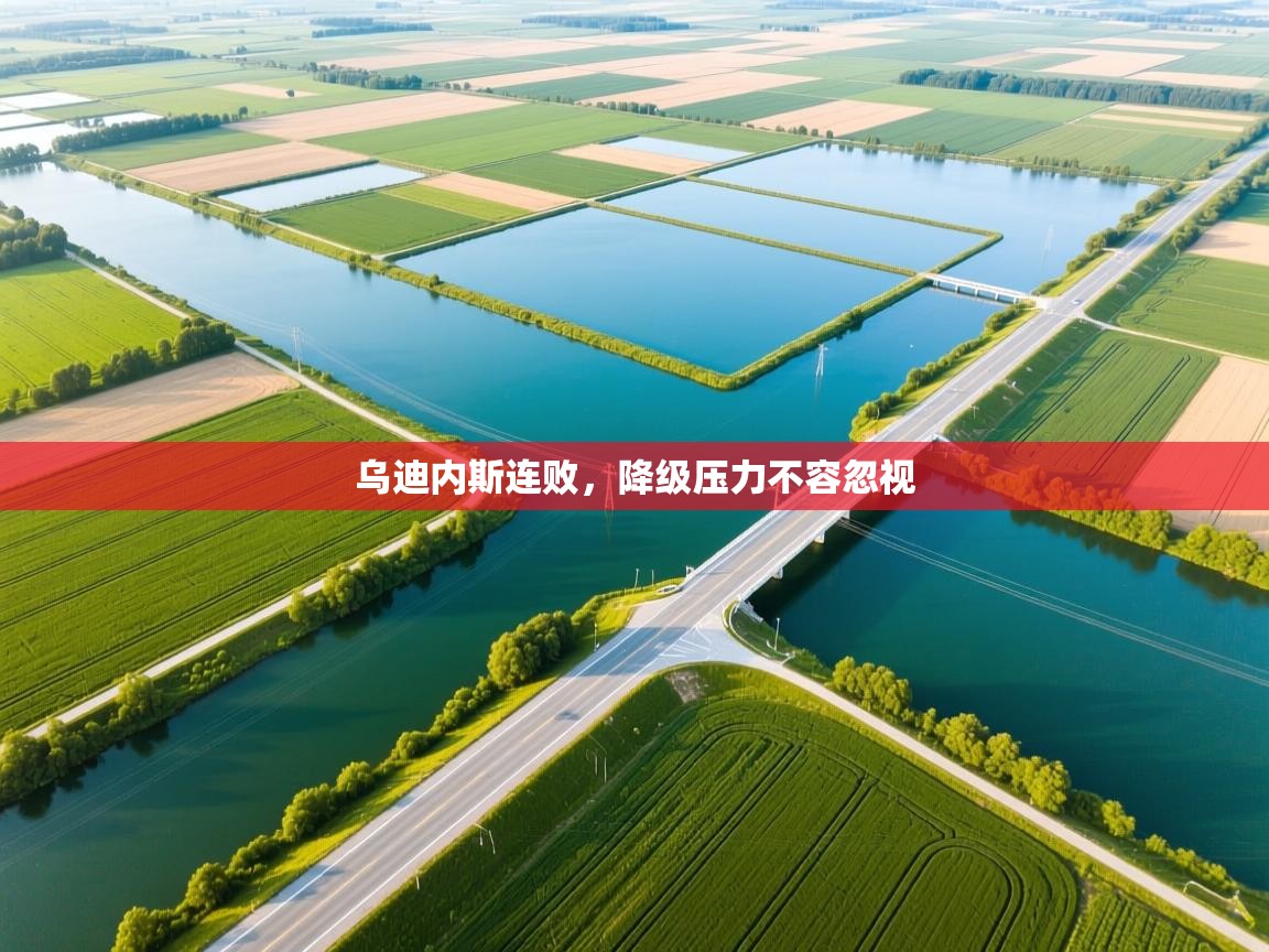 乌迪内斯连败,降级压力不容忽视 第2张