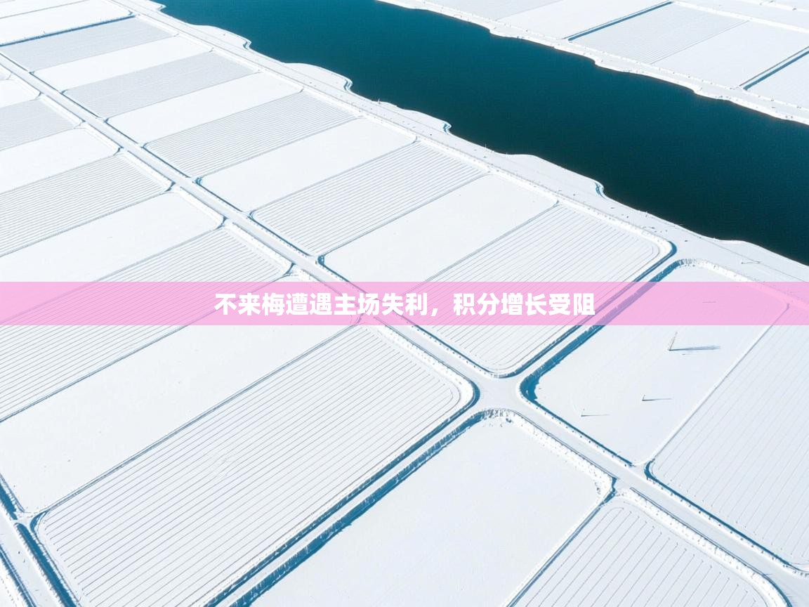 不来梅遭遇主场失利,积分增长受阻 第2张