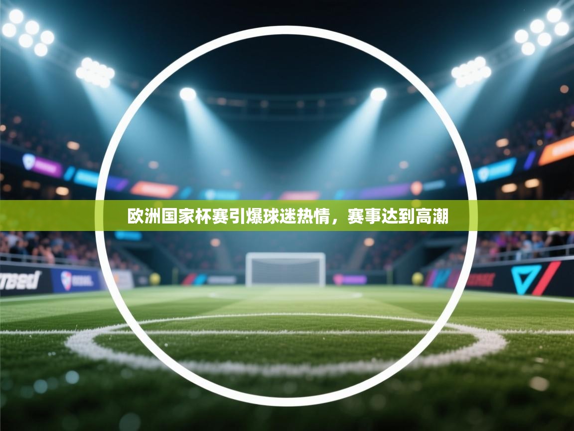 欧洲国家杯赛引爆球迷热情，赛事达到高潮  第2张